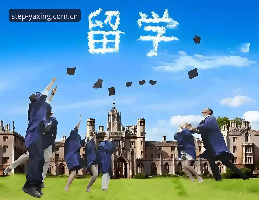 亚星体育平台深度评测：让每一步都踏实2025网页登录到底值不值？